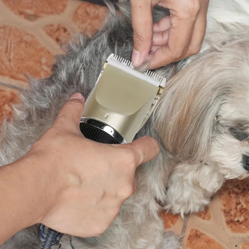 Máquina Clipper de cabelo para pets.